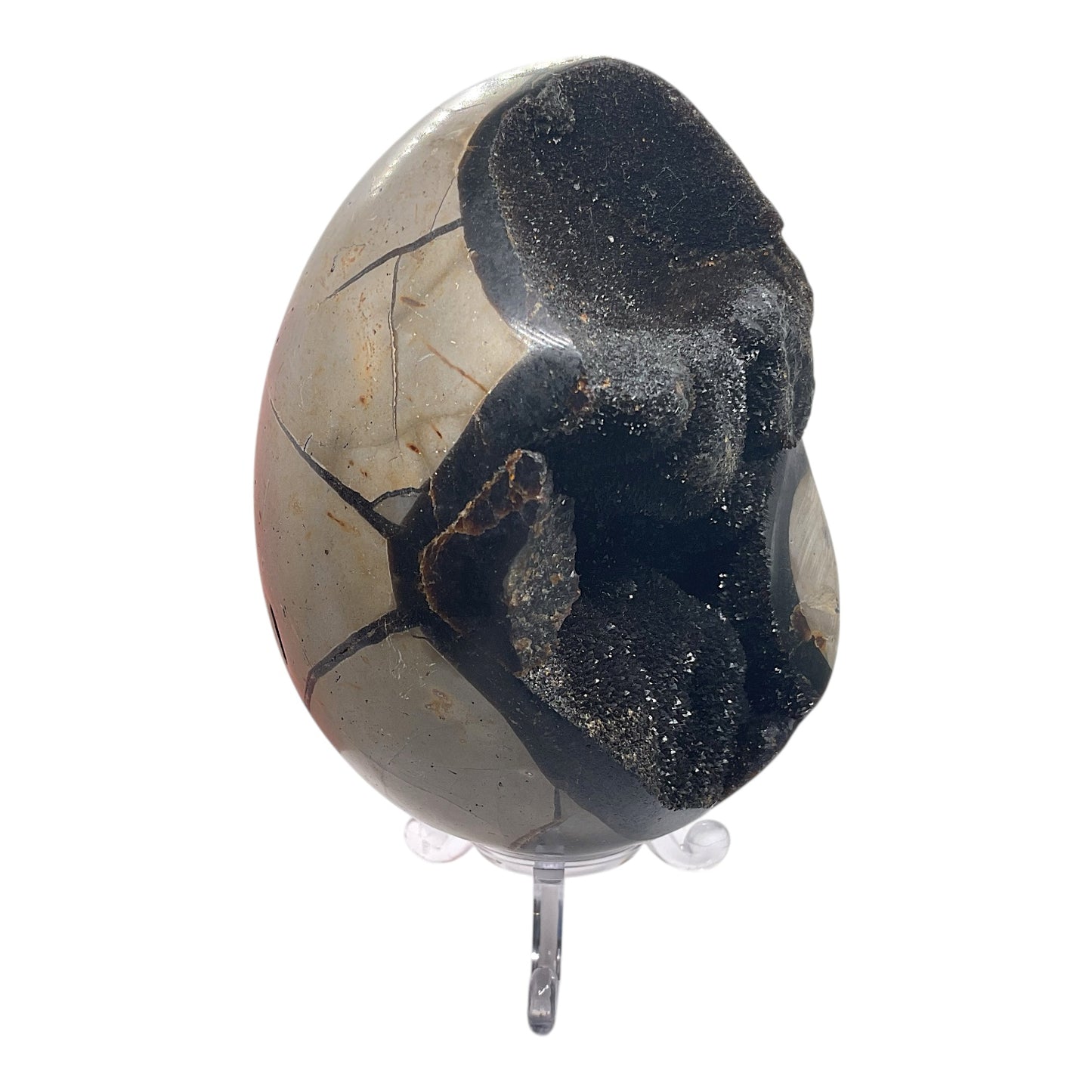 Mystisches Septarien Drachenei | Kristalldruse | Freeform | Unikat-Masterpiece 1632 | 12x8x8 cm | 883 Gramm | mit Quarzkristall | inclusive Acrylständer