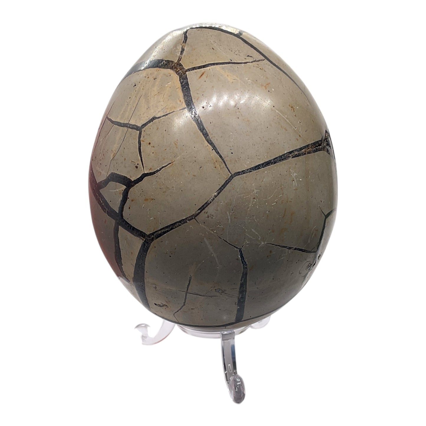 Mystisches Septarien Drachenei | Kristalldruse | Freeform | Unikat-Masterpiece 1542 | 10x8x8 cm | 770 Gramm | mit Quarzkristall | inclusive Acrylständer