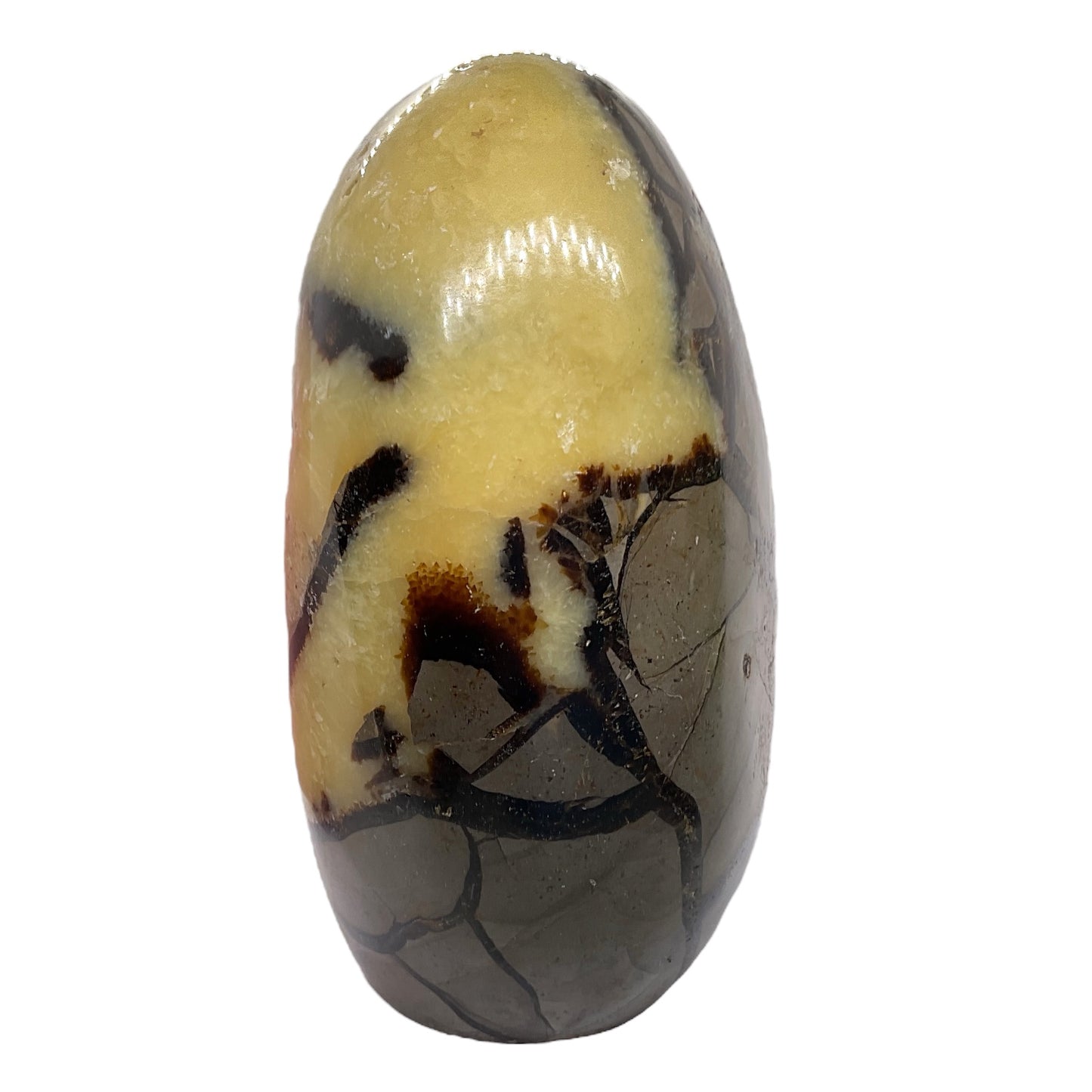 Septarien Drachen Freeform I 1330 Gramm I 13x9x6cm I Dragon I Mystisch I Unikat-Masterpiece 1653 I Madagaskar