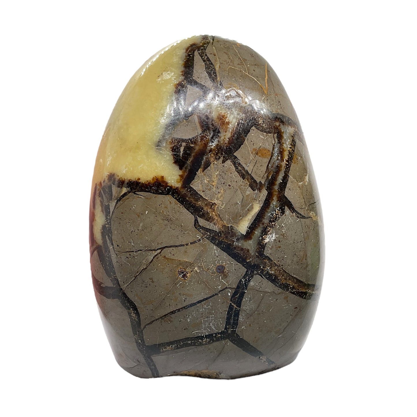 Septarien Drachen Freeform I 1330 Gramm I 13x9x6cm I Dragon I Mystisch I Unikat-Masterpiece 1653 I Madagaskar