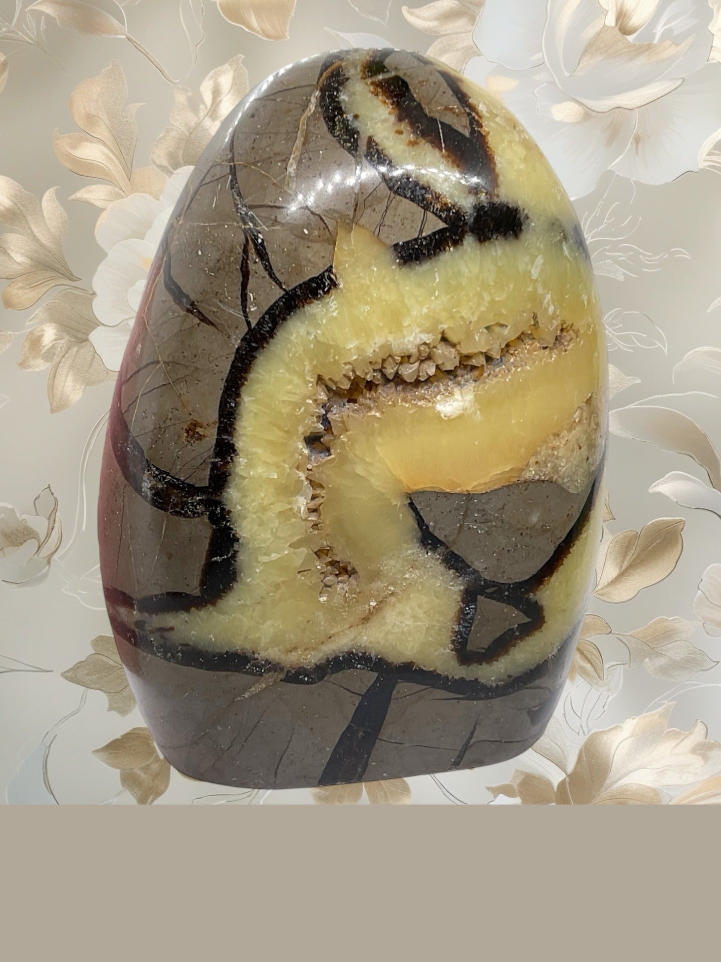 Septarien Drachen Freeform I 1330 Gramm I 13x9x6cm I Dragon I Mystisch I Unikat-Masterpiece 1653 I Madagaskar