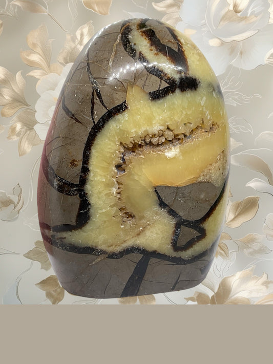 Septarien Drachen Freeform I 1330 Gramm I 13x9x6cm I Dragon I Mystisch I Unikat-Masterpiece 1653 I Madagaskar