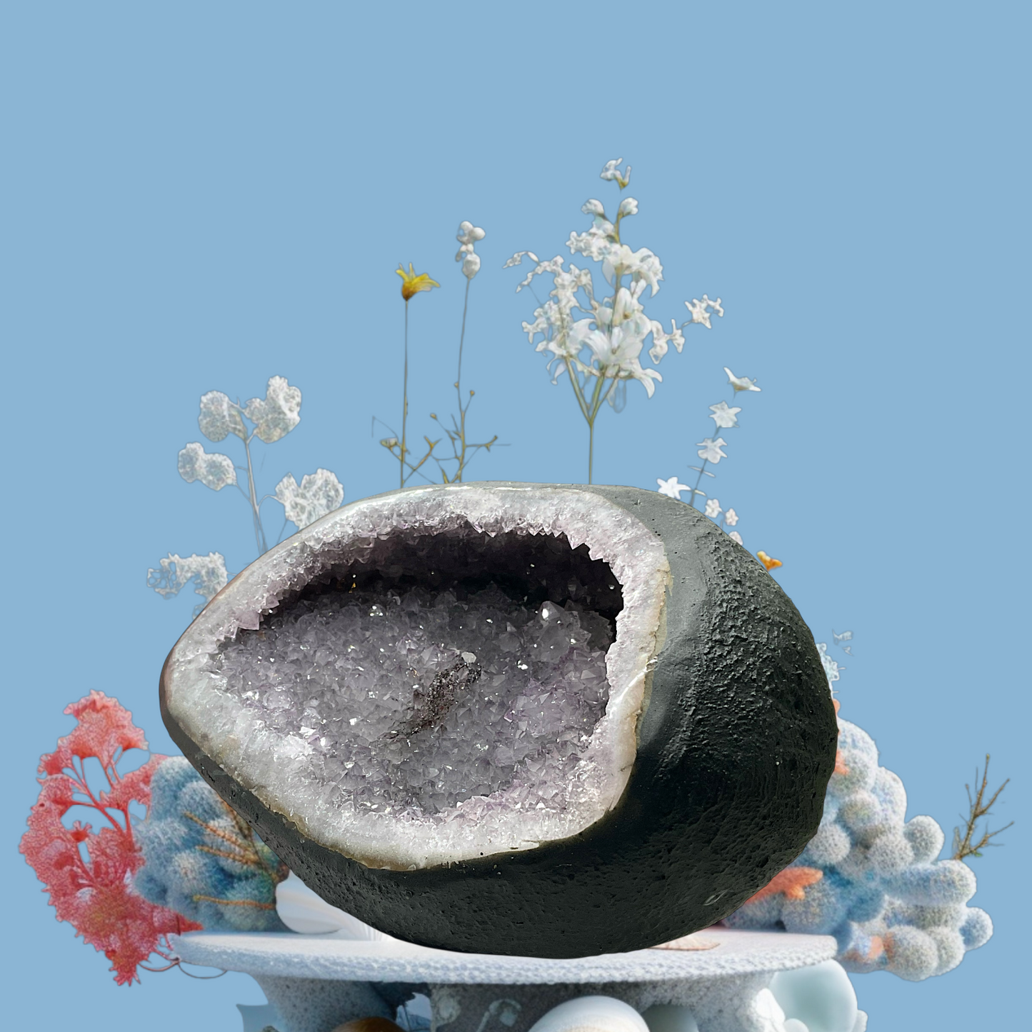 Amethyst Druse Minidruse mit phantastischen Kristallen I 1,38 KG I 14x12x10 cm I Blickfang I Unikat-Masterpiece 1619 I Sammlerstück I Brasilien