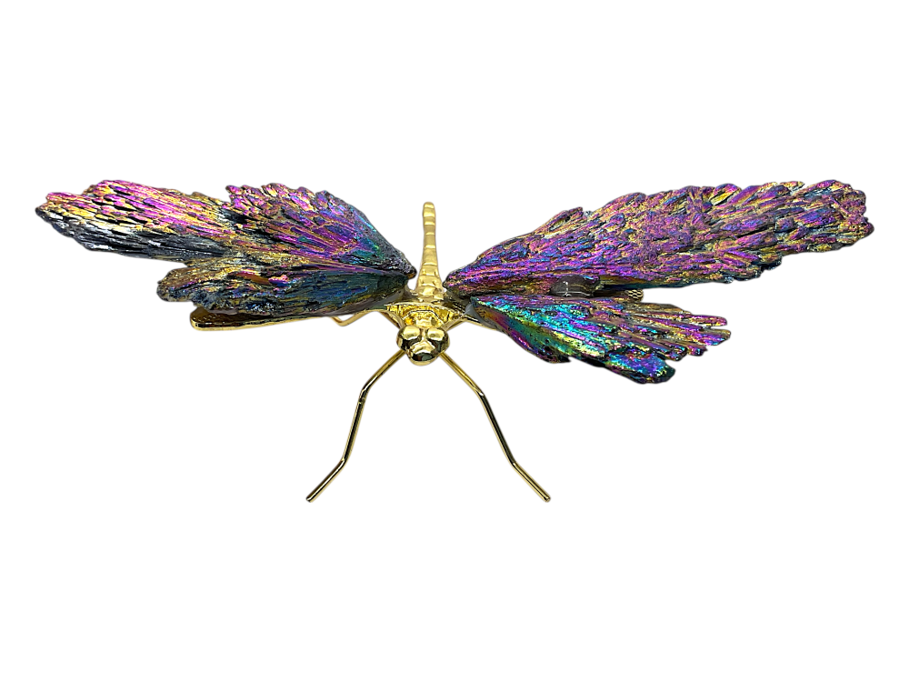 Turmalin Aura Libelle I Dekoration I 129gr. I 17x9x4cm I Sammlerstück I Unikat-Masterpiece Nr. 1672 I Brasilien