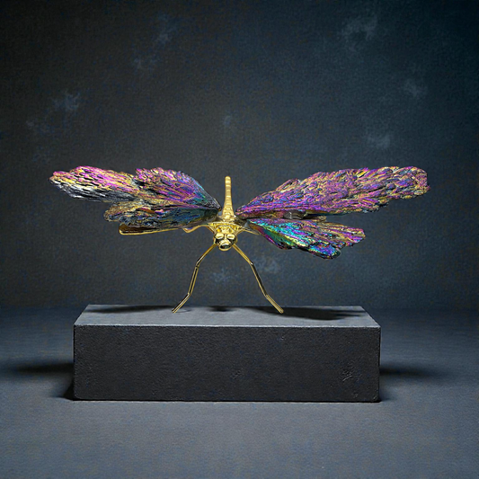 Turmalin Aura Libelle I Dekoration I 129gr. I 17x9x4cm I Sammlerstück I Unikat-Masterpiece Nr. 1672 I Brasilien