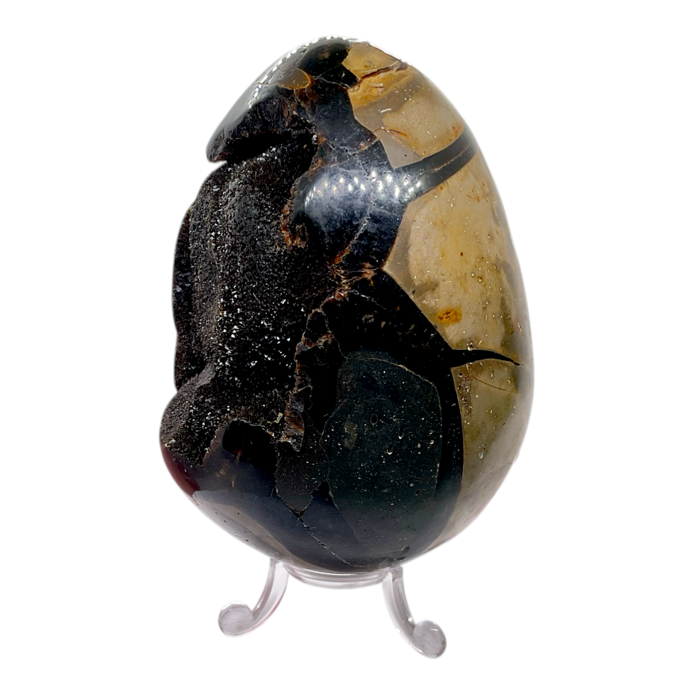 Septarien Drachenei mit Kristalldruse – 1220 g Unikat aus Madagaskar – Edelstein Ei (ca. 12 cm) inkl. Acrylständer – AAA Qualität –  Sammlerstück - Steinfixx Masterpiece 1632