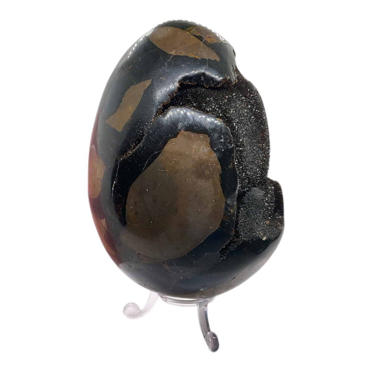 Septarien Drachenei mit Kristalldruse – 1220 g Unikat aus Madagaskar – Edelstein Ei (ca. 12 cm) inkl. Acrylständer – AAA Qualität –  Sammlerstück - Steinfixx Masterpiece 1632