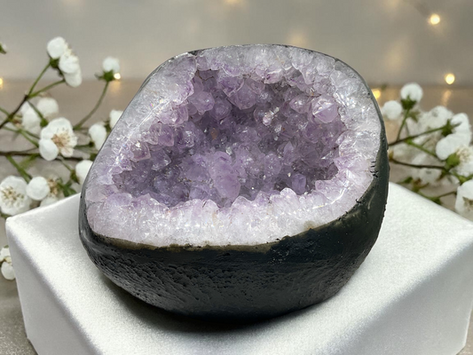 Amethyst-Druse aus Brasilien – 2747 g, ca. 15 × 13 × 13 cm – AAA-Qualität – Glücksdruse Edelstein Unikat (Masterpiece 1621) – Sammlerstück