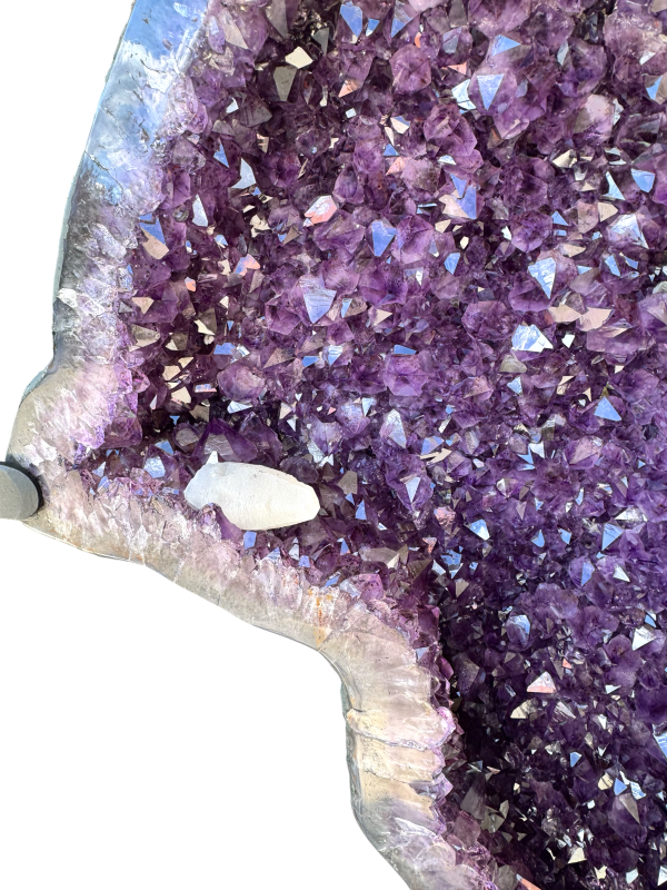 XXXL Amethyst Schmetterling auf Metallständer I 136 KG I 180x115x17cm I AAA-Qualität I Exklusiver Blickfang & repräsentative Dekoration I Museumsstück I Unikat-Masterpiece 1679  I Sammlerstück I Brasilien
