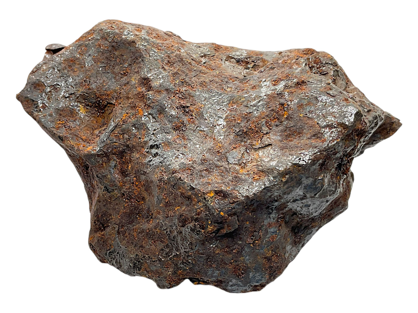 Campo del Cielo Eisenmeteorit – Typ IAB – 1.466 g – Echter Nickel-Eisen-Meteorit aus Argentinien – Original Individual mit Gutachten – Sammlerstück - Unikat-Masterpiece 1716