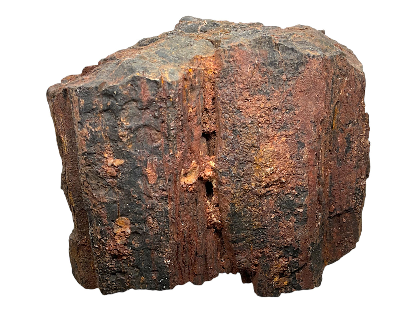 Versteinertes Holz (verkieseltes Holz) – Gimsbach, Rheinland-Pfalz – 1,8 kg – 13 × 9 × 10 cm – Sammlerstück – Unikat-Masterpiece Nr. 1709