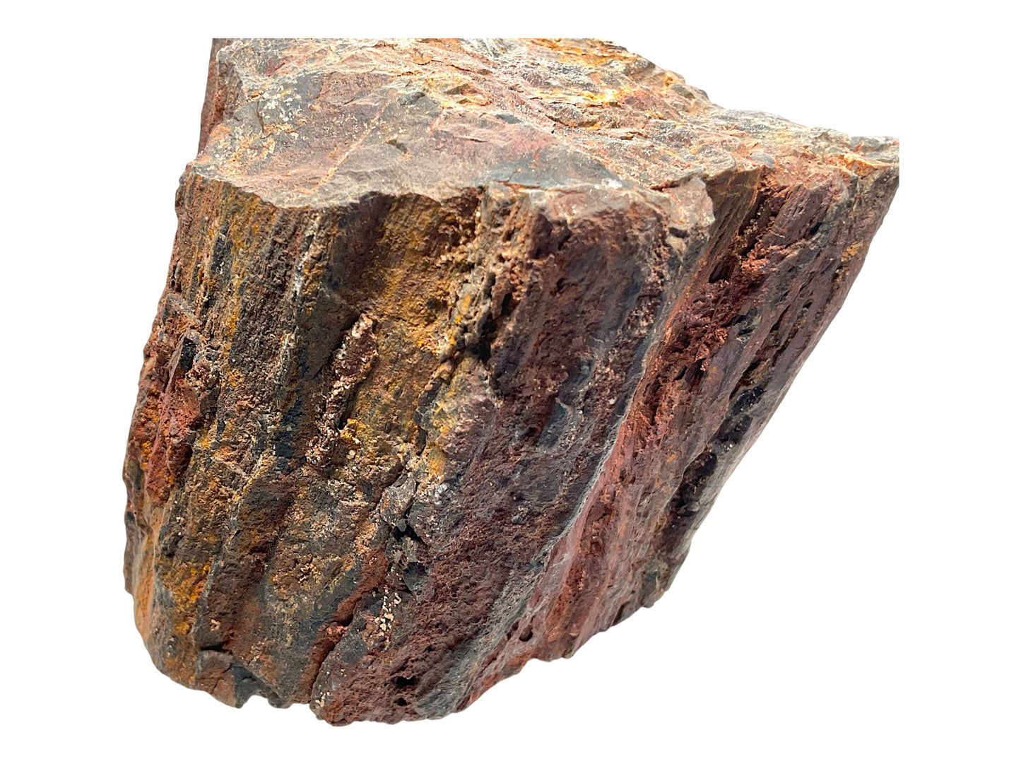 Versteinertes Holz (verkieseltes Holz) – Gimsbach, Rheinland-Pfalz – 1,8 kg – 13 × 9 × 10 cm – Sammlerstück – Unikat-Masterpiece Nr. 1709
