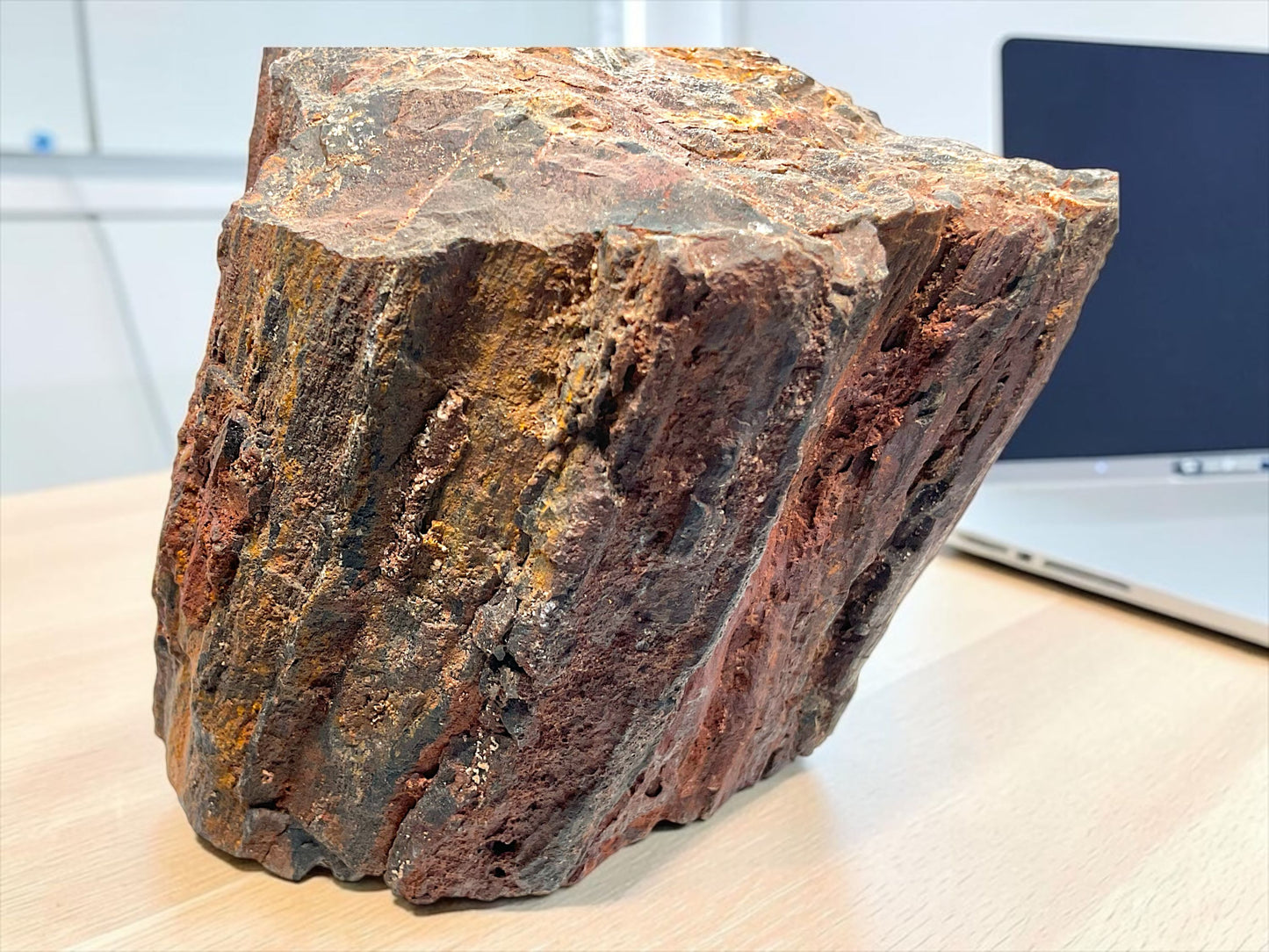 Versteinertes Holz (verkieseltes Holz) – Gimsbach, Rheinland-Pfalz – 1,8 kg – 13 × 9 × 10 cm – Sammlerstück – Unikat-Masterpiece Nr. 1709