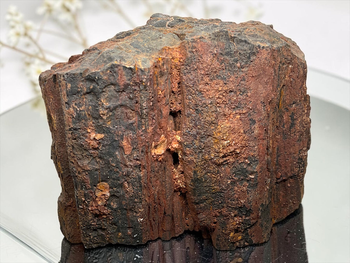 Versteinertes Holz (verkieseltes Holz) – Gimsbach, Rheinland-Pfalz – 1,8 kg – 13 × 9 × 10 cm – Sammlerstück – Unikat-Masterpiece Nr. 1709