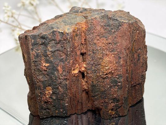 Versteinertes Holz (verkieseltes Holz) – Gimsbach, Rheinland-Pfalz – 1,8 kg – 13 × 9 × 10 cm – Sammlerstück – Unikat-Masterpiece Nr. 1709