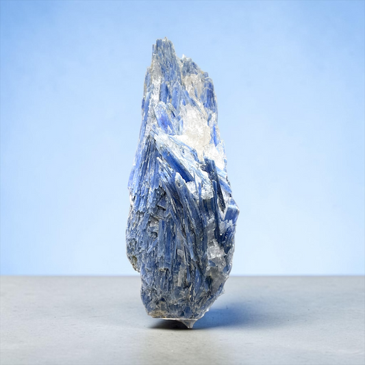 Kyanit Rohstein (Cyanit / Disthen) 1065 g – 7 x 8 x 20 cm – Einzigartiges Sammlerstück aus Brasilien – Unikat-Masterpiece 1717 – Beeindruckender Blickfang