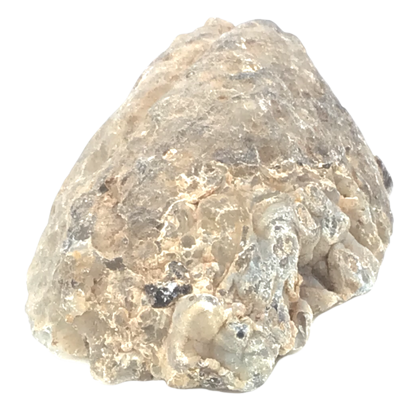 Achat Geode | Feengarten| OCO - aufgeschnitten und poliert | A* Qualität | Feengarten