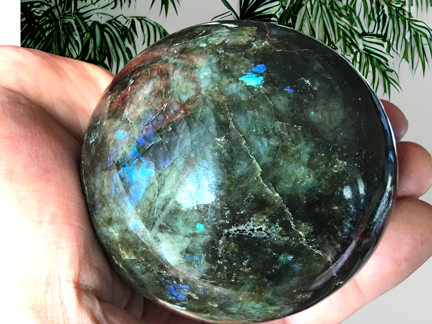 XL Labradorit Kugel mit Ständer| Unikat | 7-8 cm | 600-750 Gramm | A* Qualität I Heilstein I Glücksstein I Chakra-Stein | wunderschöne Formen |