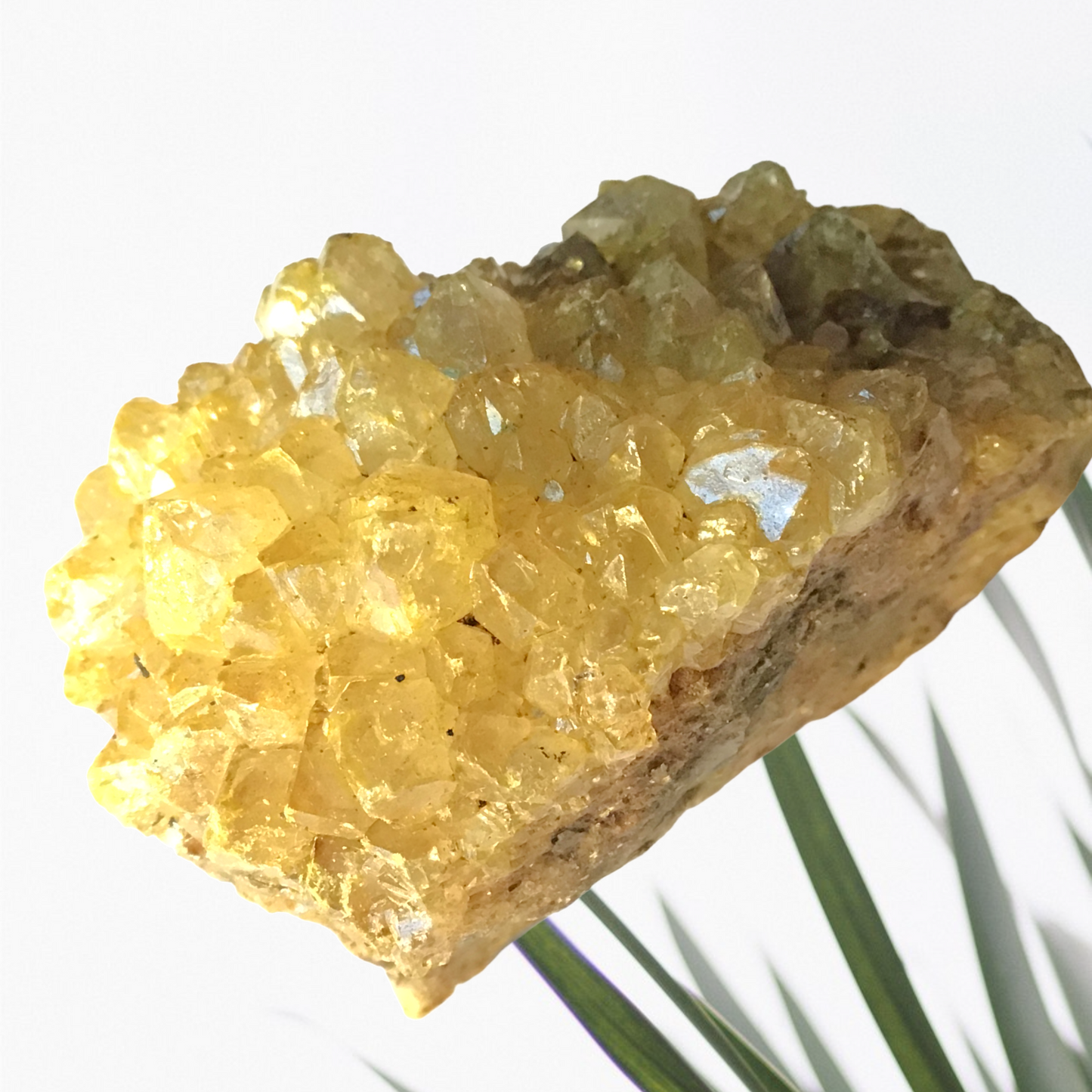 Schöne gefärbte Amethyst Kristallstufe - Cluster - Brasilien - Top Qualität